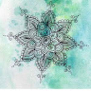 Meet your Posher, Asom